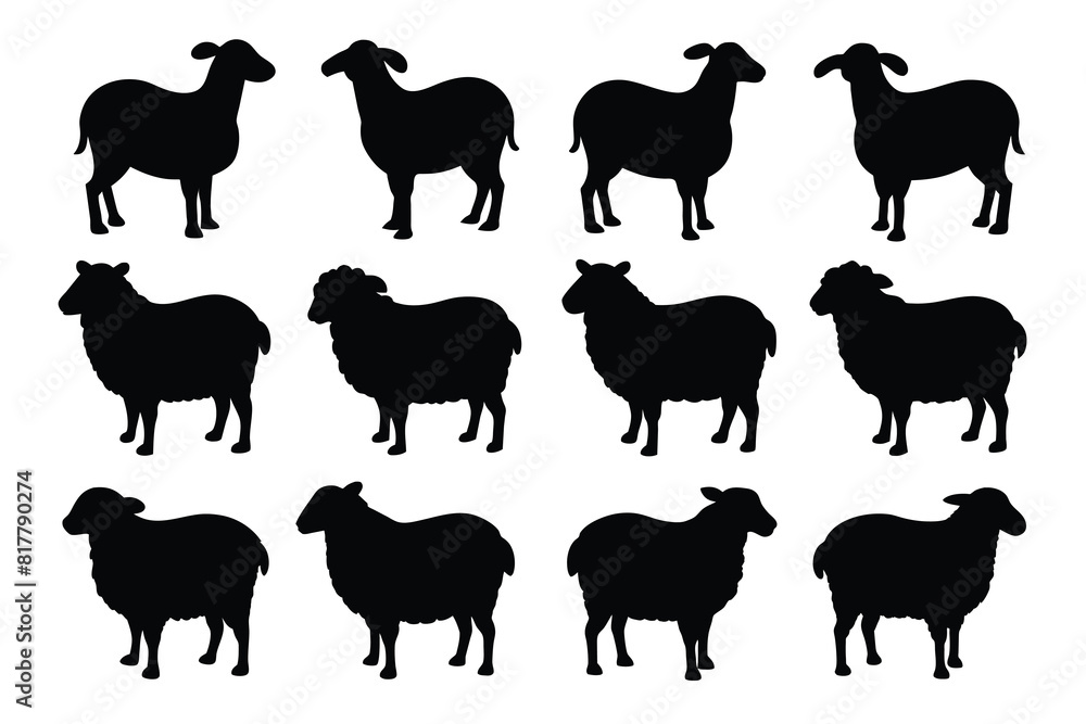 Set of sheep Silhouette Design with white Background and Vector ...