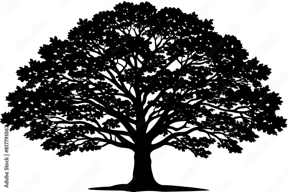 quercus tree vector silhouette illustration quercus tree vector silhouette illustration