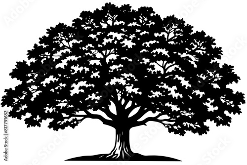 quercus tree vector silhouette illustration