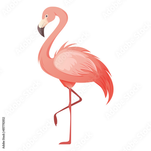 Beautiful pink flamingo on white background. Vector illustration of tropical bird for summer