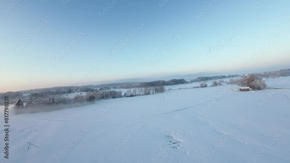 Drone landscape view of a wide field with trees covered with dense snow in the countryside at sunset Drone landscape view of a wide field with trees covered with dense snow in the countryside at sunset