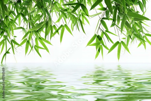 A close up of a green leafy tree over water