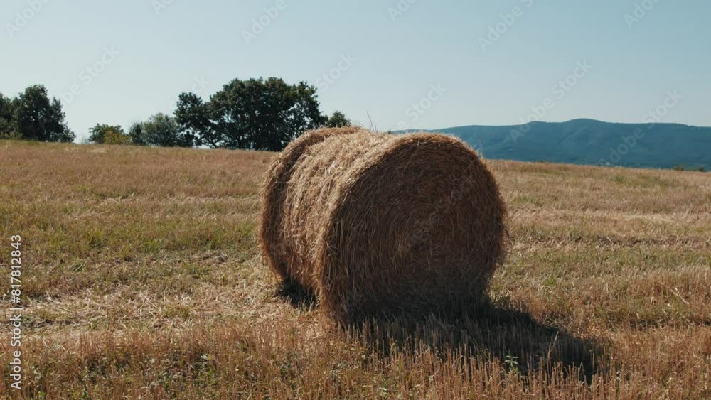 Bale of hay in a grass field in a rural area with green trees and mountains in the background Bale of hay in a grass field in a rural area with green trees and mountains in the background