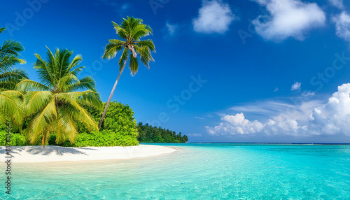 Beautiful tropical Maldives island with beach   sea   and coconut palm tree on blue sky