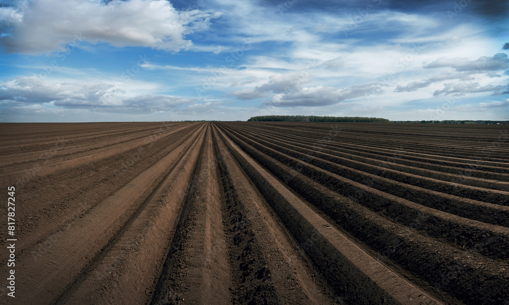 Beautiful landscape of agricultural field that is cultivated Beautiful landscape of agricultural field that is cultivated