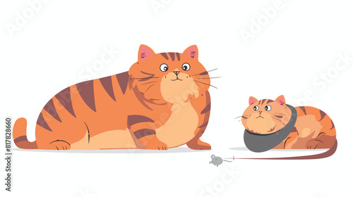 Cute funny cat looking at mouse. Fat chubby chunky fu