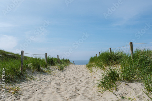 A winding path leads through sandy dunes towards the tranquil beach of Texel, Netherlands, showcasing the beauty of the natural landscape.