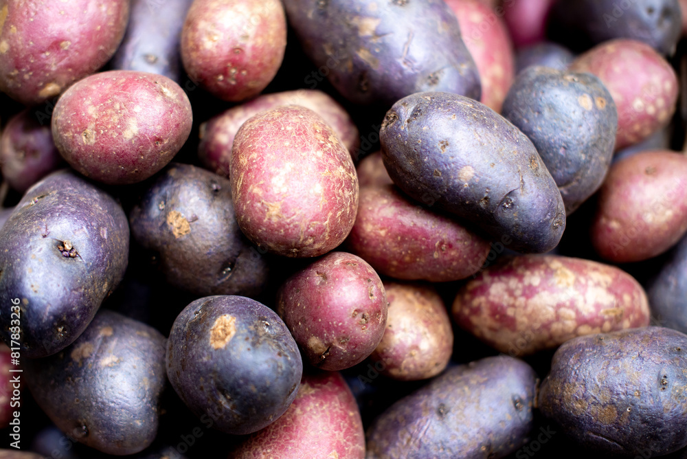 a pile of different colored potatoes sitting on top of each other a pile of different colored potatoes sitting on top of each other