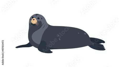 Cute seal adorable sea calf flat vector illustration