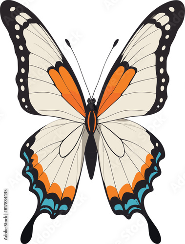 Vector of a butterfly on a white background