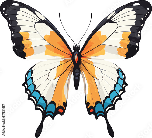 Vector of a butterfly on a white background