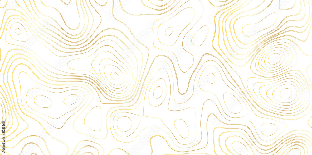 Abstract wavy topographic map. Abstract wavy and curved gold lines background. Abstract geometric topographic contour map background. Abstract wavy topographic map. Abstract wavy and curved gold lines background. Abstract geometric topographic contour map background.