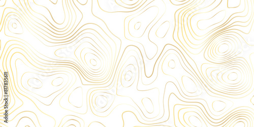 Abstract wavy topographic map. Abstract wavy and curved gold lines background. Abstract geometric topographic contour map background.