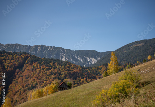 Stunning landscape of a lush mountainous region with an abundance of trees and majestic peaks