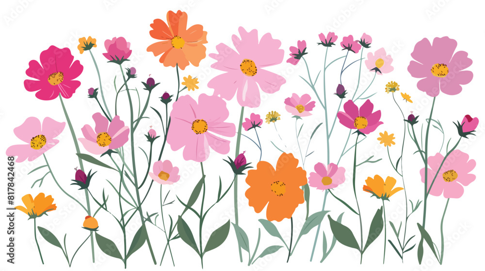 Cosmos flowers spring blooms decoration. Floral branc