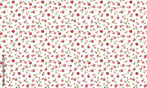 Fototapeta Naklejka Na Ścianę i Meble -  pink and red mini rose pattern, background