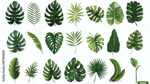 Exotic leaf set. Tropical jungle leaves. Green foliag