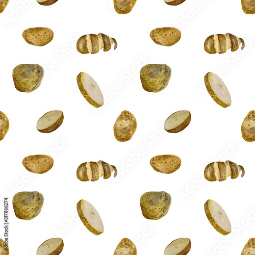 Potato whole cut half watercolor sketch pattern 