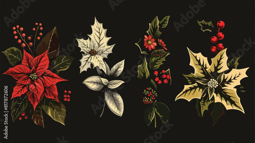 Four of beautiful winter decorative plants isolated on white background
