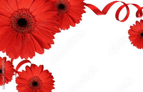 Red gerbera flowers in a co...