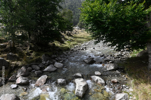 first sections of the Nogera Ribagorçana river surrounded by beech forest Catalunya, Spain