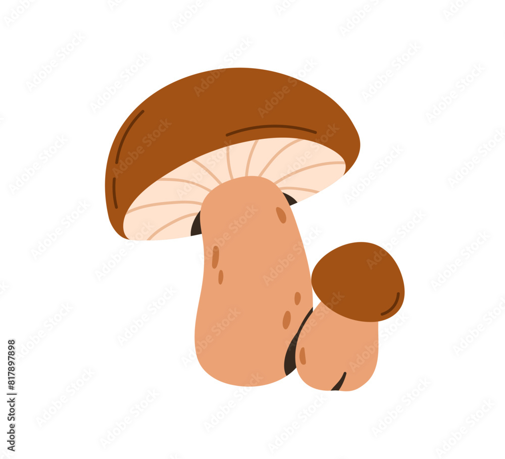 Boletus mushrooms. Porcini fungi of different size, big and small. Edible fresh organic natural food. Autumn fall forest fungus family. Flat vector illustration isolated on white background Boletus mushrooms. Porcini fungi of different size, big and small. Edible fresh organic natural food. Autumn fall forest fungus family. Flat vector illustration isolated on white background