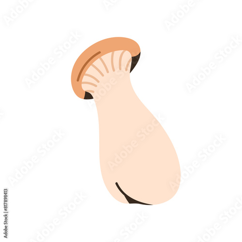 King oyster mushroom. Autumn forest fungus. Edible Pleurotus eryngii, French horn. Seasonal fall eryngi, gilled cap. Flat graphic vector illustration isolated on white background