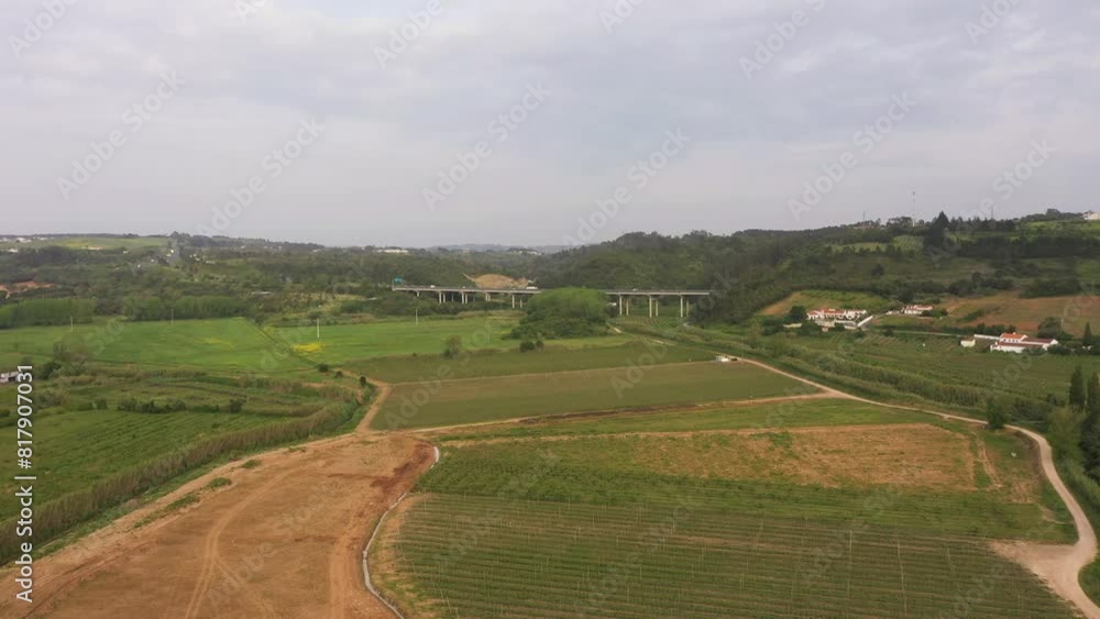 Vineyards near Obidos. Portugal. Aerial View. Drone Moves Forward Vineyards near Obidos. Portugal. Aerial View. Drone Moves Forward