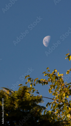 moon in the day