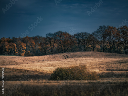 Fototapeta Naklejka Na Ścianę i Meble -  Pustkowie