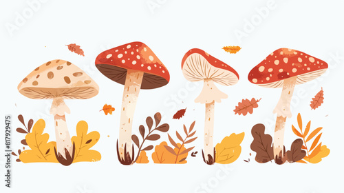 Mushrooms Four. Forest fungi. Autumn fall fungus edib