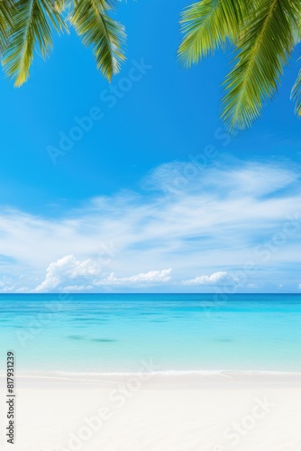 tropical beach background with palm tree leaf