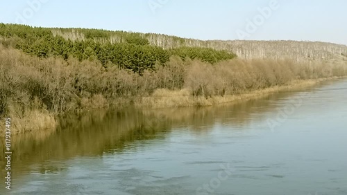 A fragment of a small river with high banks overgrown with dense bushes on a clear spring evening. Inya River, Novosibirsk, Siberia, Russia. photo