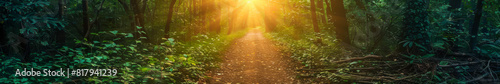 Sunlit Forest Pathway in a Lush Green Wilderness at Sunrise