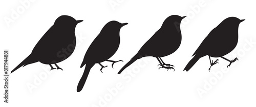 Set of black bird silhouettes. Vector elements for design. logo on white background