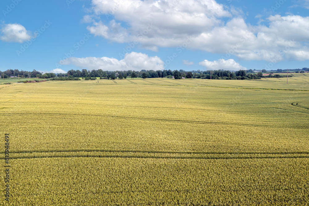 Aerial View of Green Field With Trees Aerial View of Green Field With Trees