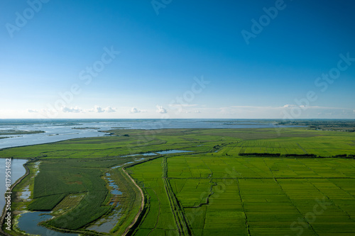 Aerial photography of rice fields and villages along the Nen River in Daqing City