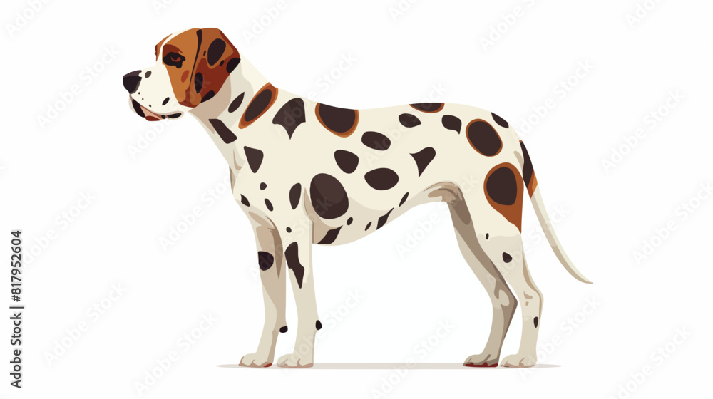 Side view of cute adult dog. Pretty doggy with spotty