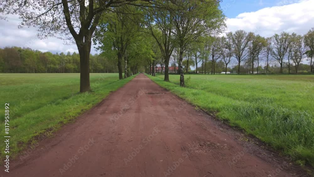 A picturesque natural landscape with a treelined dirt road cutting through a field, under a sky filled with fluffy clouds A picturesque natural landscape with a treelined dirt road cutting through a field, under a sky filled with fluffy clouds