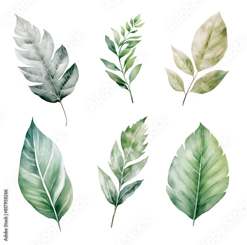 Set of Watercolor Green Leaves.