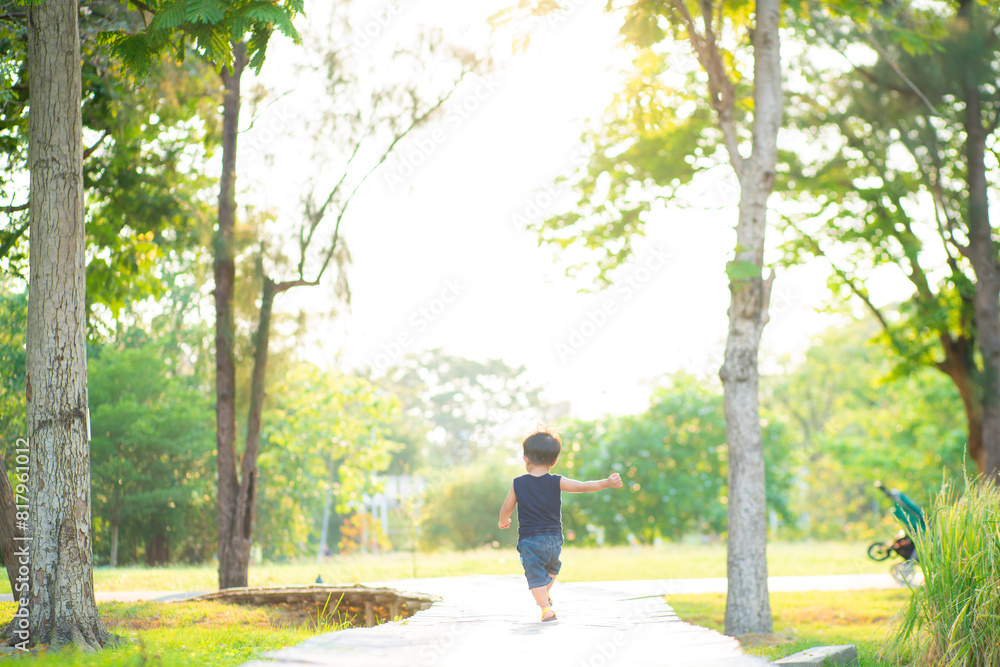 Toddler asian 1-2 year boy first walking outdoor meadow grass sunset park Toddler asian 1-2 year boy first walking outdoor meadow grass sunset park