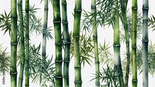 watercolor bamboo forest on white background