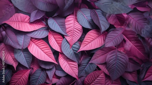 pink and dark leafs pattern, background, wallpaper