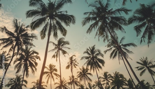 seamless pattern with palm trees silhouettes tropical summer background with coconut trees generative ai