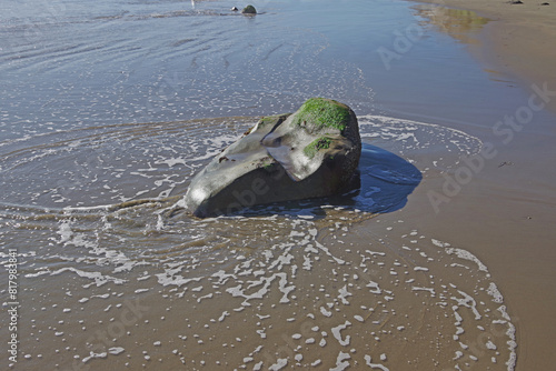 Rock in the tidewater of an ocean beach photo