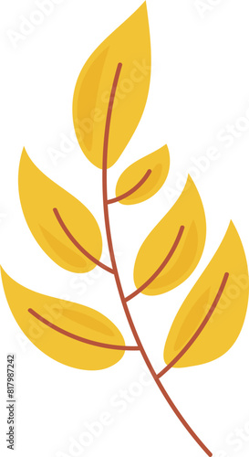 autumn leaf illustration