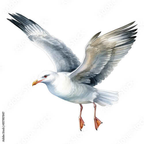 Seagull  Bird Illustration. Watercolor Style. AI Generated
