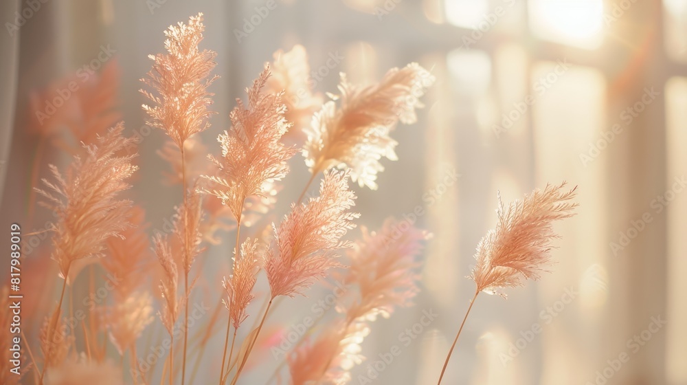 Soft and serene pink pampas grass illuminated by a warm sunset glow, creating a peaceful and dreamy atmosphere