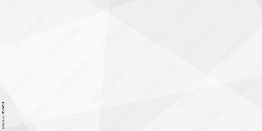 Abstract background with white and gray and geometric style with simple lines and corners, polygons as background geometric style with simple lines and corners, polygons as background paper texture
Abstract background with white and gray and geometric style with simple lines and corners, polygons as background geometric style with simple lines and corners, polygons as background paper texture