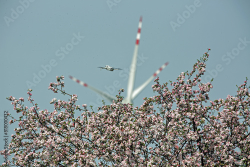 Dron w powietrzu nad kwitnącym drzewem w tle turbina wiatrowa.